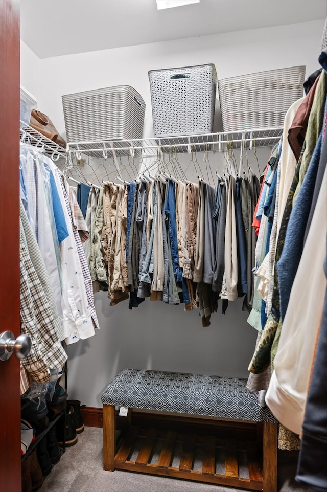 walk in closet with carpet flooring