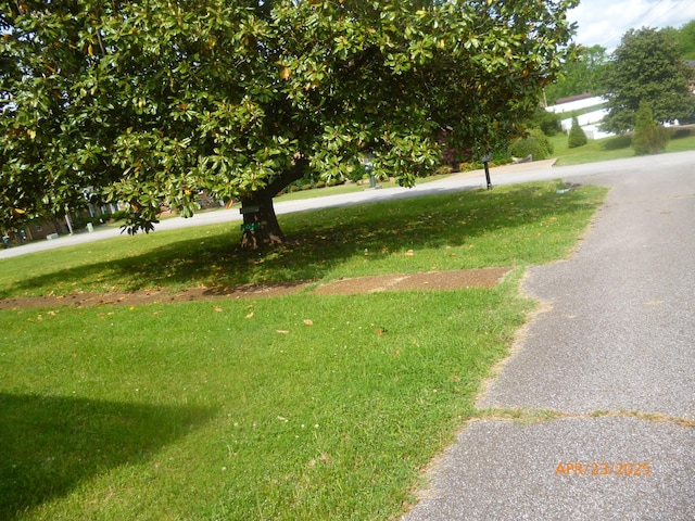 1314 Jewell Dr, Columbia, TN 38401 - view of property's community with a yard