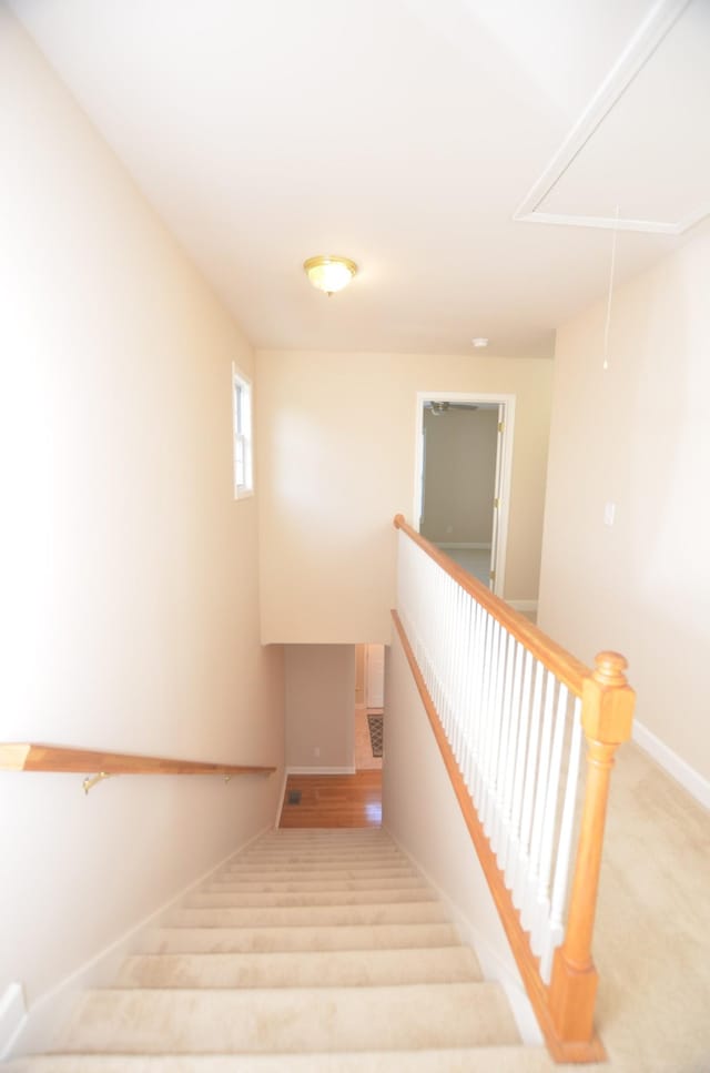 1921 28th Ave N, Nashville, TN 37208 - photo 69