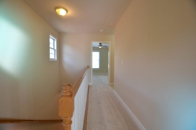 1921 28th Ave N, Nashville, TN 37208 - photo 57