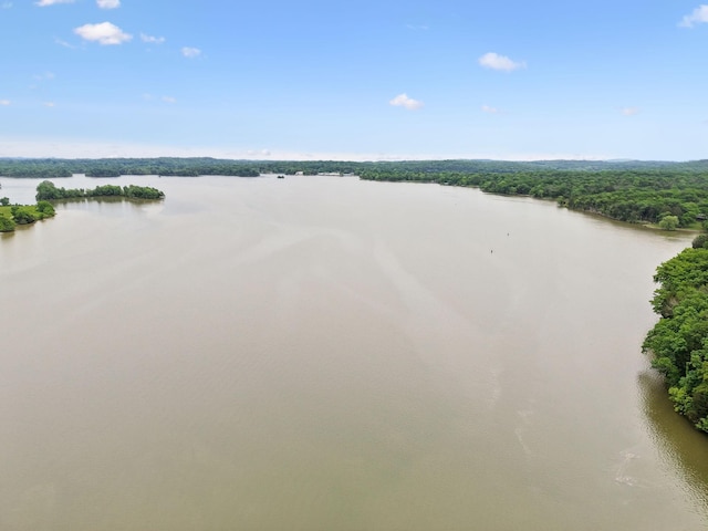 1111 Horseshoe Cv, Mount Juliet, TN 37122 - water view with a forest