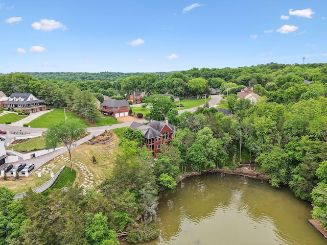 1111 Horseshoe Cv, Mount Juliet, TN 37122 - drone / aerial view