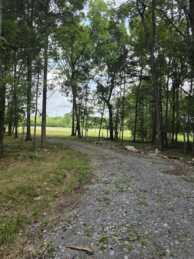0 Rutledge Ln Unit 13, Lebanon, TN 37087 - photo 3