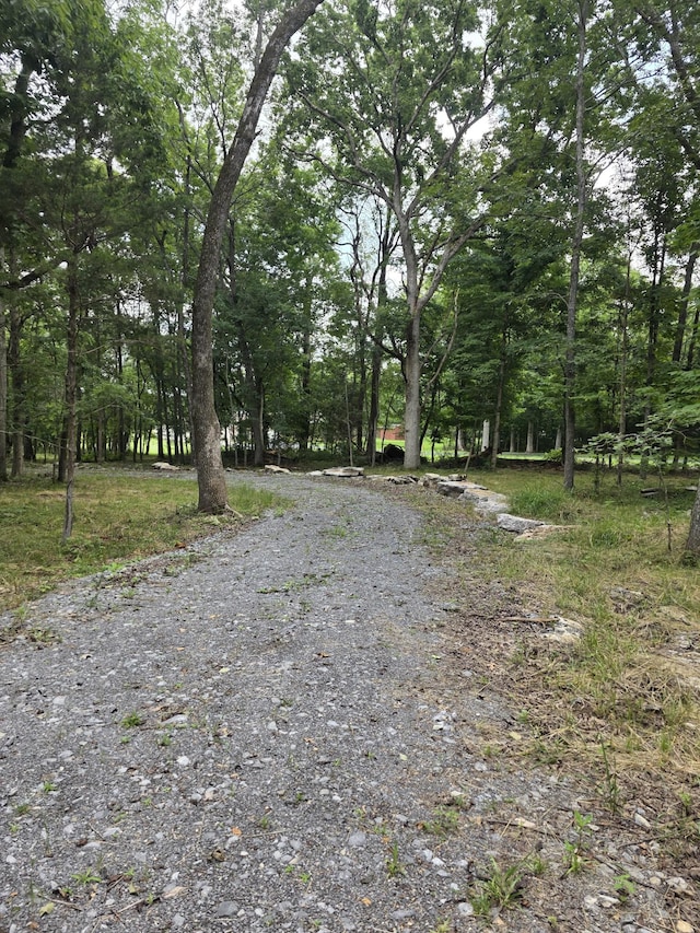 0 Rutledge Ln Unit 13, Lebanon, TN 37087 - photo 2