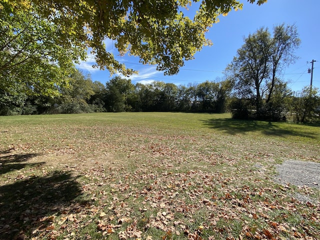 1614 Wade Rd, Lewisburg, TN 37091 - view of green lawn