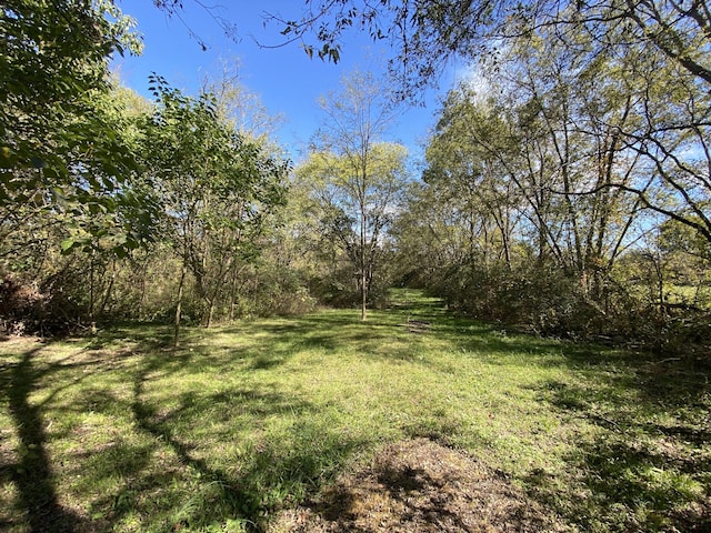 1614 Wade Rd, Lewisburg, TN 37091 - view of grassy yard with a forest view