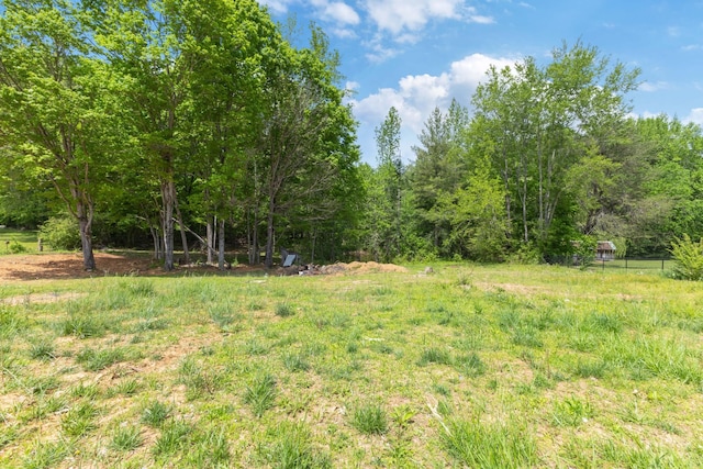 671 Poplar Ridge Rd, Chapmansboro, TN 37035
