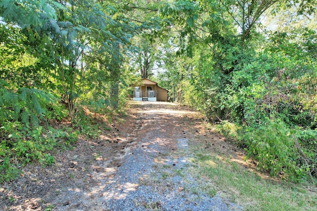 view of yard with driveway