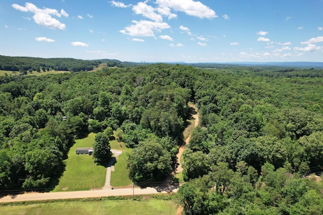 13356 Ellison, Birchwood, TN 37308