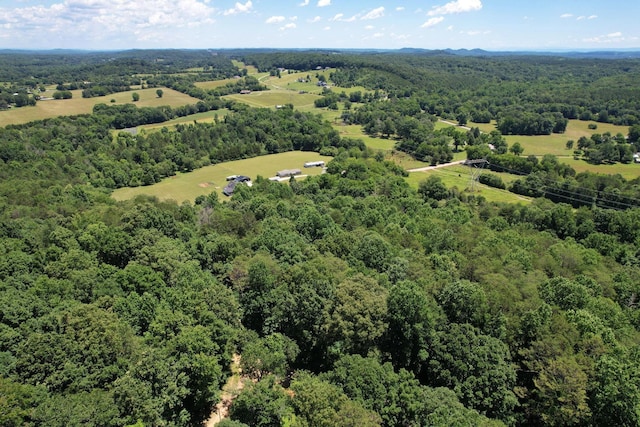 13356 Ellison, Birchwood, TN 37308