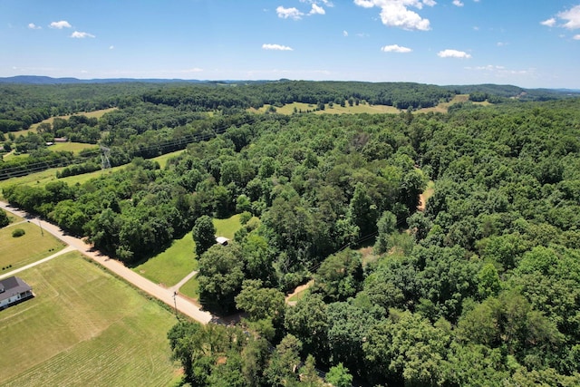13356 Ellison, Birchwood, TN 37308