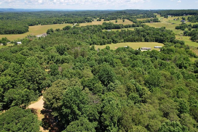 13356 Ellison, Birchwood, TN 37308