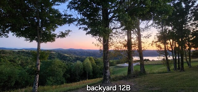 136 Bald Eagle Rd, Hilham, TN 38568