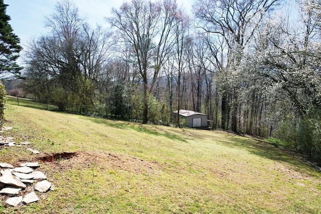 1922 W Brookhaven Cir, Dalton, GA 30720 - view of yard with an outbuilding, a shed, and a forest view