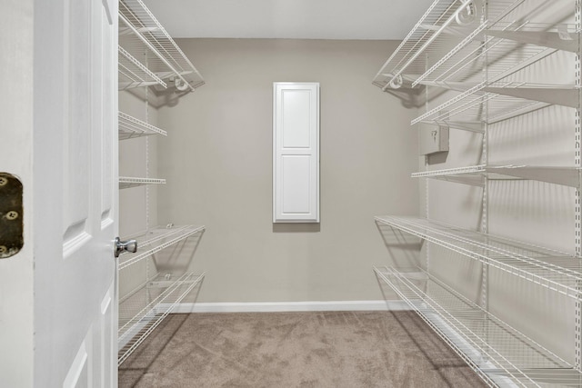 3839 Cleveland Hwy, Dalton, GA 30721 - spacious closet with carpet
