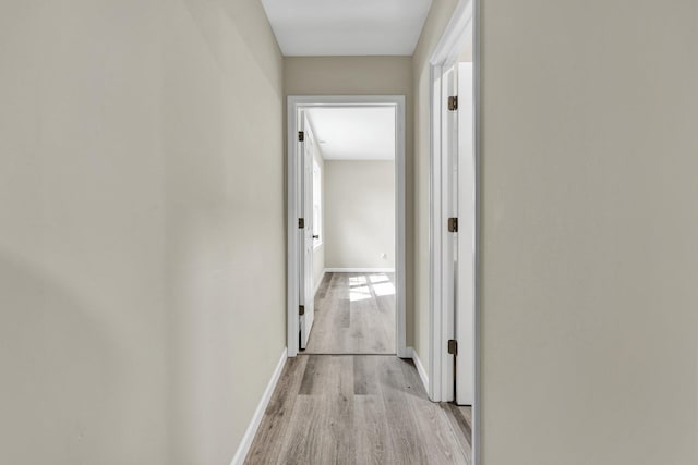 3839 Cleveland Hwy, Dalton, GA 30721 - corridor featuring light wood finished floors and baseboards