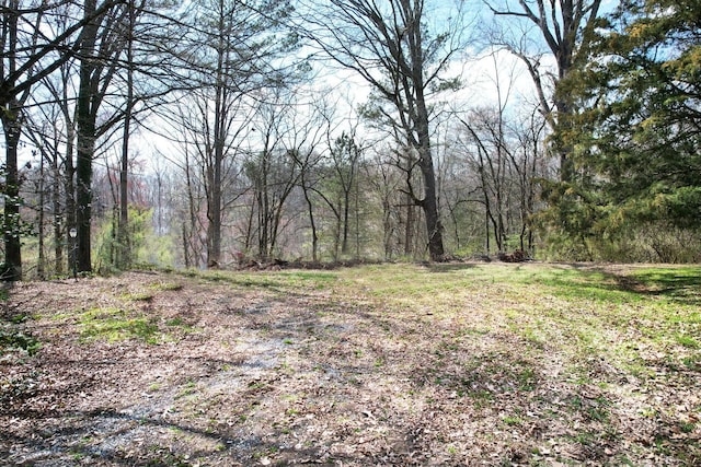 3839 Cleveland Hwy, Dalton, GA 30721 - view of wooded area