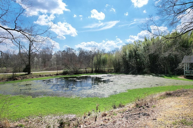 3839 Cleveland Hwy, Dalton, GA 30721 - water view featuring a forest