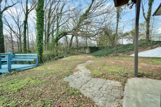 3839 Cleveland Hwy, Dalton, GA 30721 - view of yard