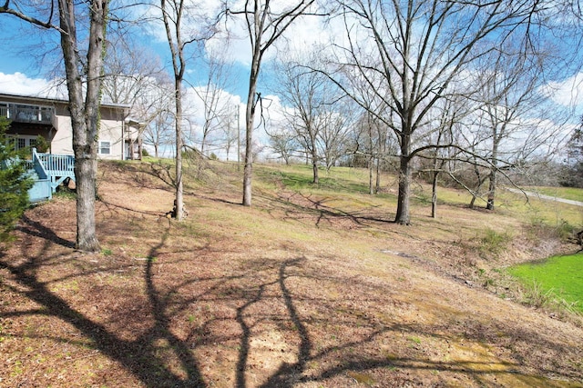 3839 Cleveland Hwy, Dalton, GA 30721 - view of yard
