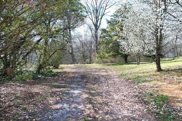 3839 Cleveland Hwy, Dalton, GA 30721 - view of street