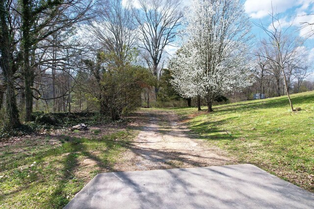 3839 Cleveland Hwy, Dalton, GA 30721 - view of dirt / gravel road