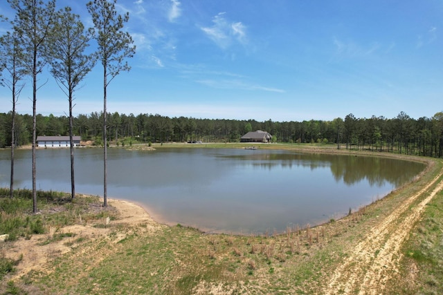 water view featuring a view of trees