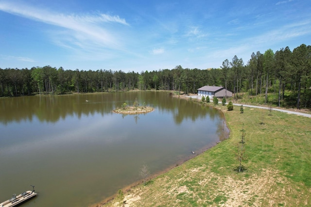 property view of water with a view of trees