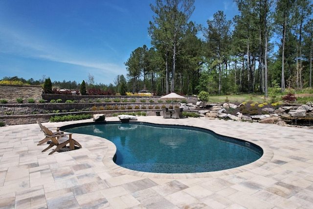 view of pool with a fenced in pool and a patio area