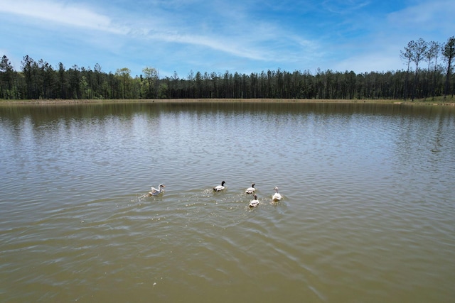 water view with a wooded view
