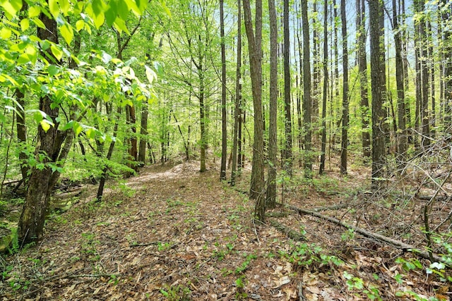 view of nature with a view of trees
