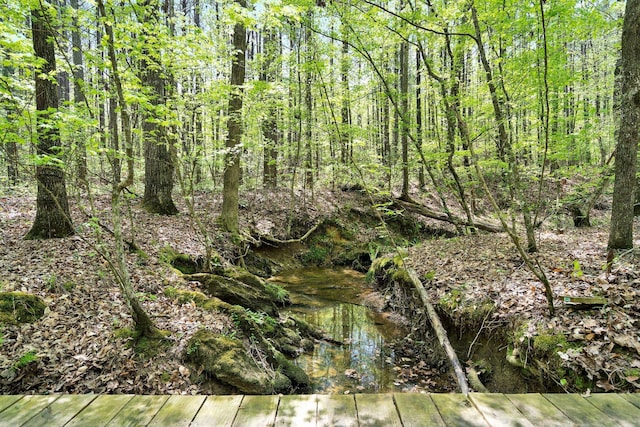 view of nature