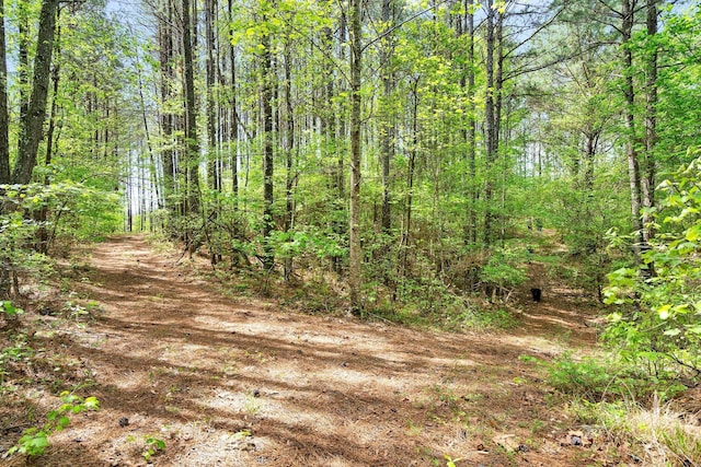 view of landscape with a wooded view