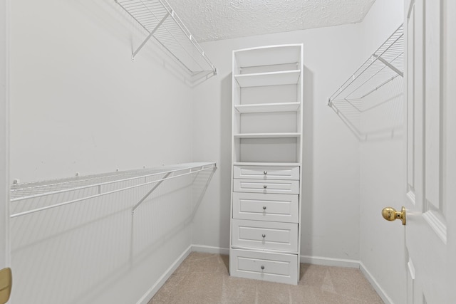 800 S Browns Ln Unit I1, Gallatin, TN 37066 - walk in closet with light colored carpet