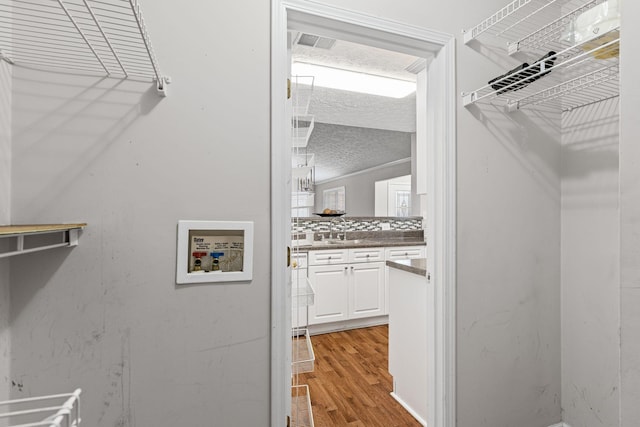 800 S Browns Ln Unit I1, Gallatin, TN 37066 - spacious closet with a sink, light wood-type flooring, and visible vents