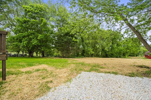 view of yard