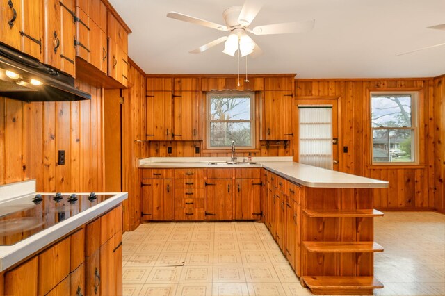 905 Crownhill Dr, Nashville, TN 37217 - kitchen with light countertops, a peninsula, a healthy amount of sunlight, and a sink