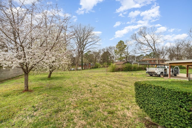 905 Crownhill Dr, Nashville, TN 37217 - view of yard with a detached carport