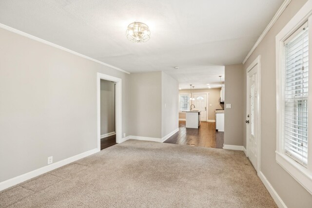 105 Rucker Ave, Franklin, TN 37064 - photo 10
