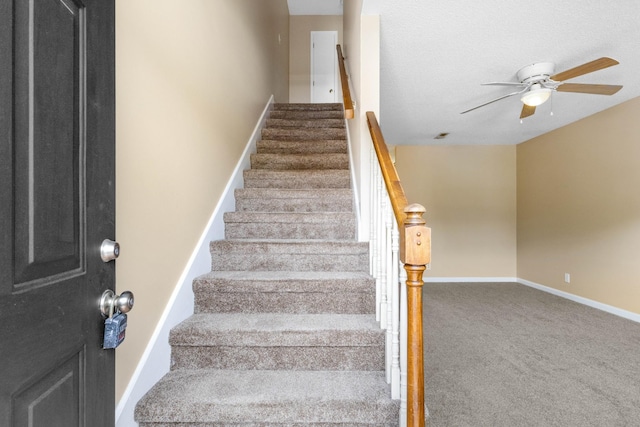 2450 Caroline Dr, Clarksville, TN 37042 - photo 8