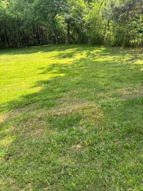 4660 Dover Rd, Indian Mound, TN 37079 - view of yard featuring a wooded view