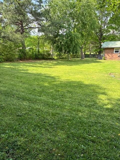 4660 Dover Rd, Indian Mound, TN 37079 - view of yard
