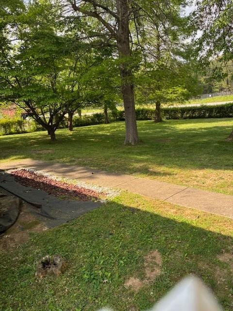 4660 Dover Rd, Indian Mound, TN 37079 - surrounding community with a yard