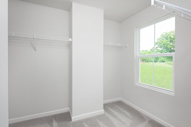 spacious closet with carpet