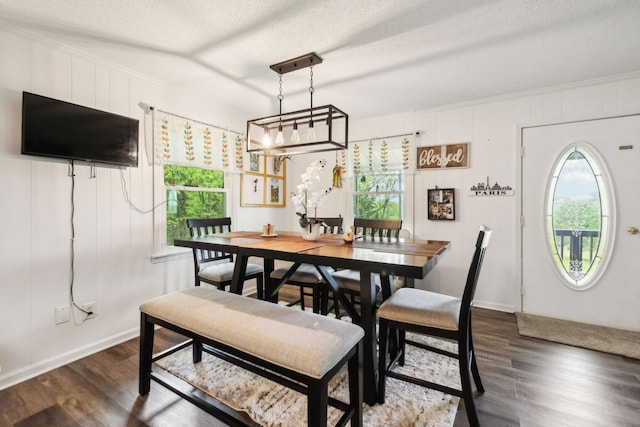 12817 Lascassas Pike, Milton, TN 37118 - dining area featuring baseboards, a textured ceiling, and dark wood-style floors