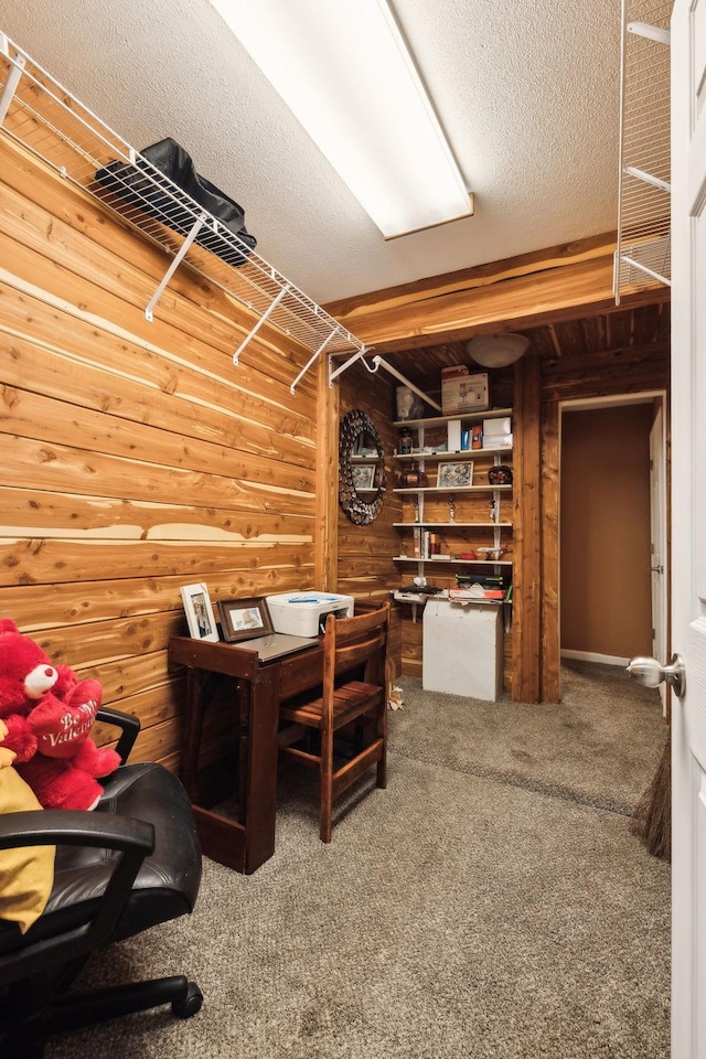 12817 Lascassas Pike, Milton, TN 37118 - carpeted office space with a textured ceiling