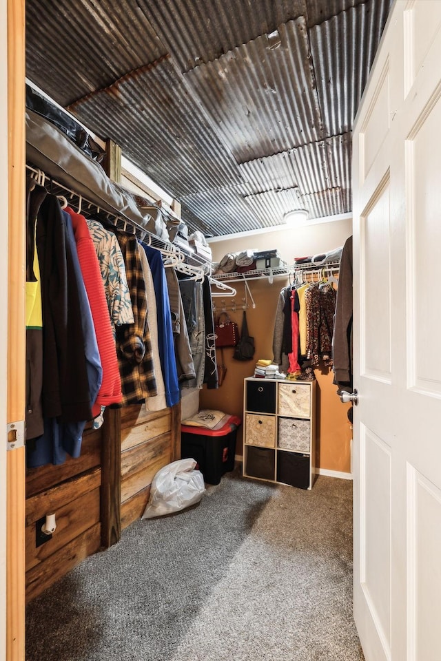 12817 Lascassas Pike, Milton, TN 37118 - spacious closet featuring carpet flooring