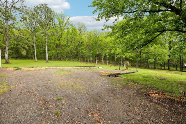 12817 Lascassas Pike, Milton, TN 37118 - exterior space featuring a wooded view