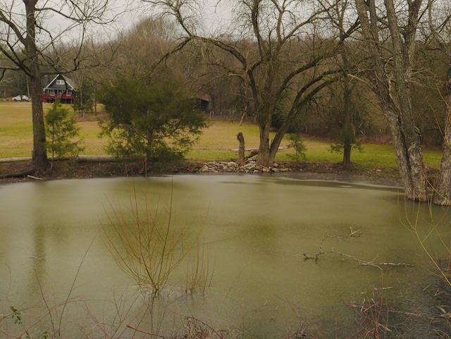 12817 Lascassas Pike, Milton, TN 37118 - water view