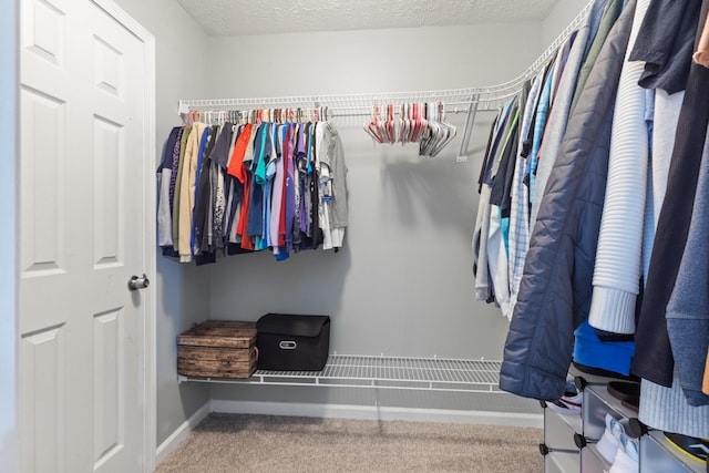 spacious closet featuring carpet